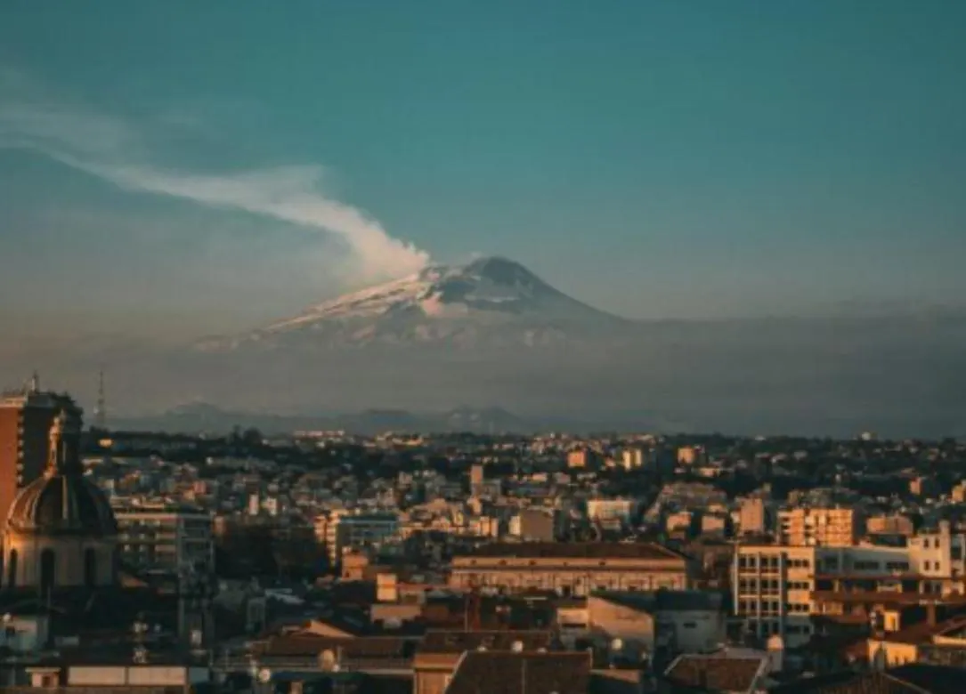 L'Albero Della Vita Catania 0*,